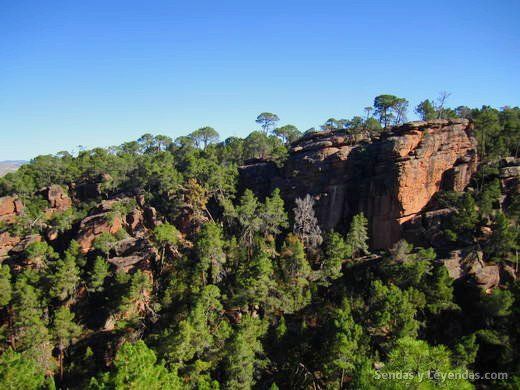 Qué ver en Albarracín y alrededores: Pinares de Ródeno.