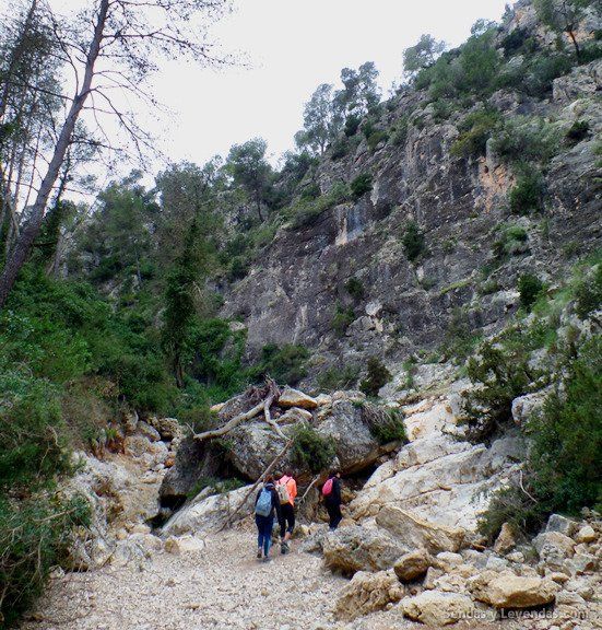 Ruta a la Bastida de les Alcusses por el barranco de la Bastida (Moixent).