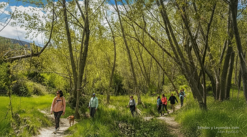 El Racó de Sant Bonaventura y sus molinos: crónica del río Polop en Alcoy