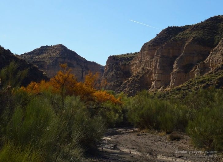 Rambla de los Anchurones (desierto de Gorafe).